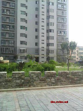 dvubb 按此在新窗口浏览图片